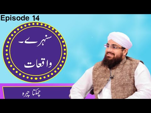 Sunehray Waqiyat Episode 14 ┇ Chamakta Chehra ┇ سنہرے واقعات ┇ چمکتا چہرہ ┇ Rabi ul Awal Special