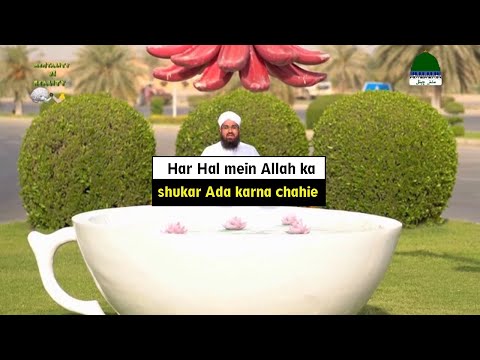 Har Hal mein Allah ka shukar Ada karna chahie program Mentality versus Reality