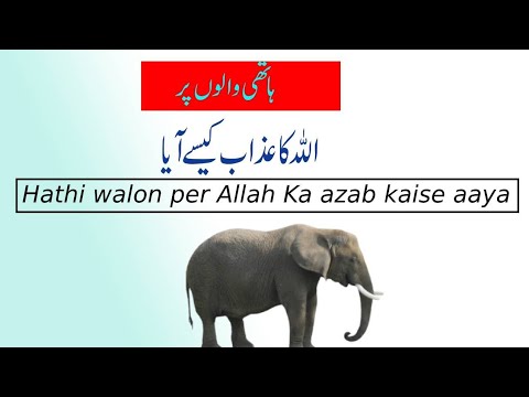 ہاتھی والوں پر اللہ کا عذاب کیسے آیا Hathi walon per Allah Ka azab kaise aaya Yousuf Saleem Attari